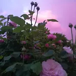 Le Memagne Wifi Gratuit Διαμέρισμα Lacuisine