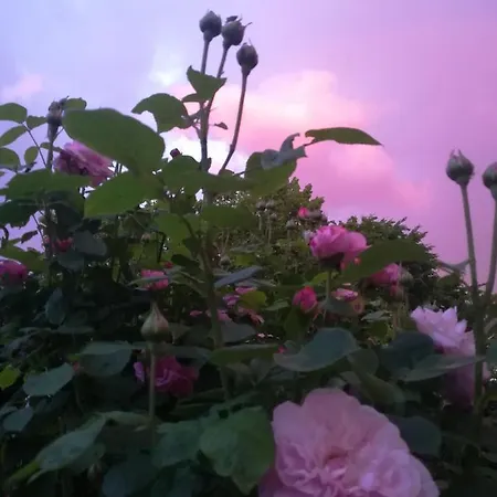 Le Memagne Wifi Gratuit 아파트 Lacuisine